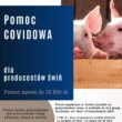 Pomoc dla producentów trzody chlewnej Wnioski o przyznanie pomocy mogą składać rolnicy, którzy w okresie od 1 marca do 15 lipca 2020 r. utrzymywali w gospodarstwie średnią dzienną liczbę świń wynoszącą co najmniej 21 sztuk. Wnioski można składać do 20 grudnia 2020 r. Wsparcie będzie wypłacane w I kwartale 2021 roku. Szczegółowe informacje dostępne są na stronie ARiMR, Podkarpackim Oddziale Regionalnym i Biurach Powiatowych ARiMR.